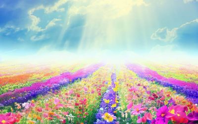 Spring is in the Air!