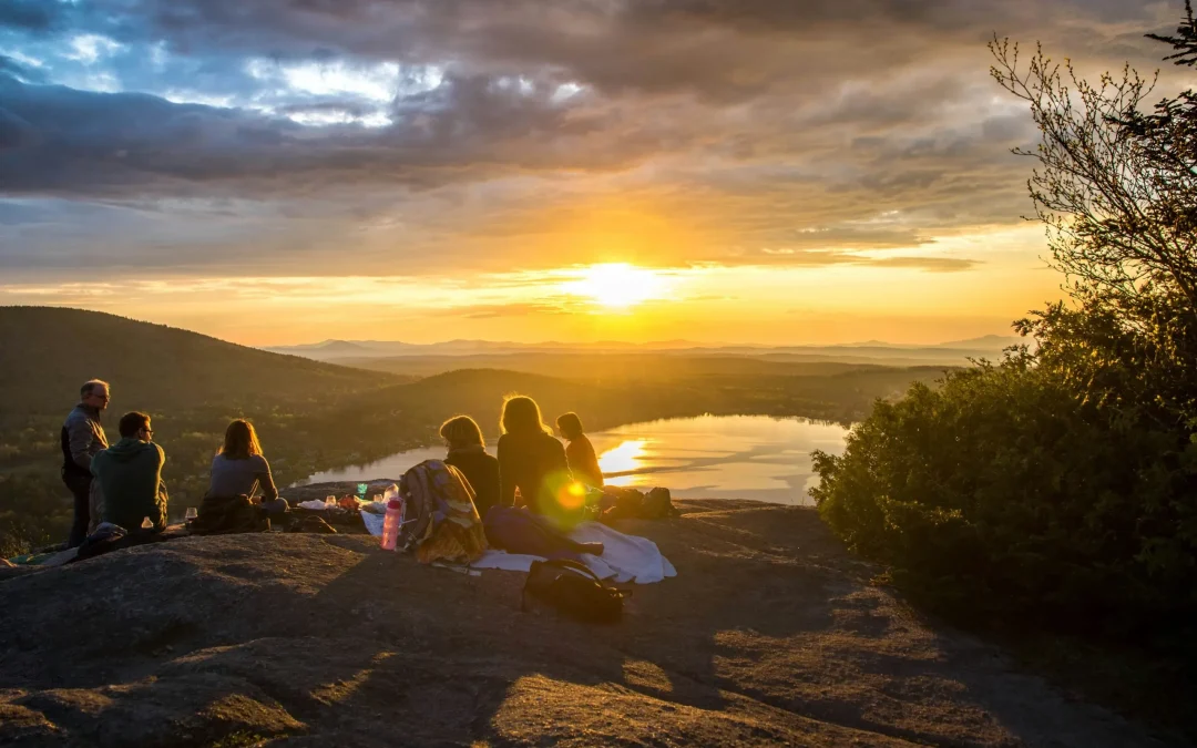 Elevate Your Team’s Success