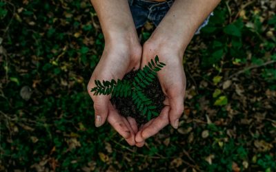 Seeds for Personal Growth