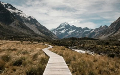 Strategies for Staying on Track