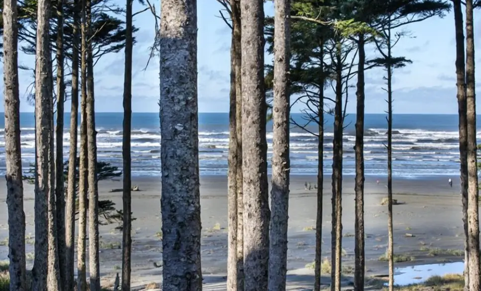 seabrook beach1