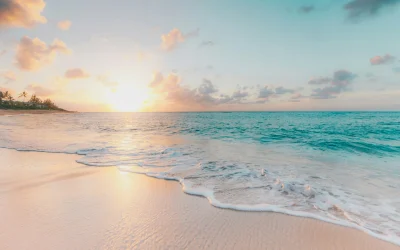 Where Clarity Begins