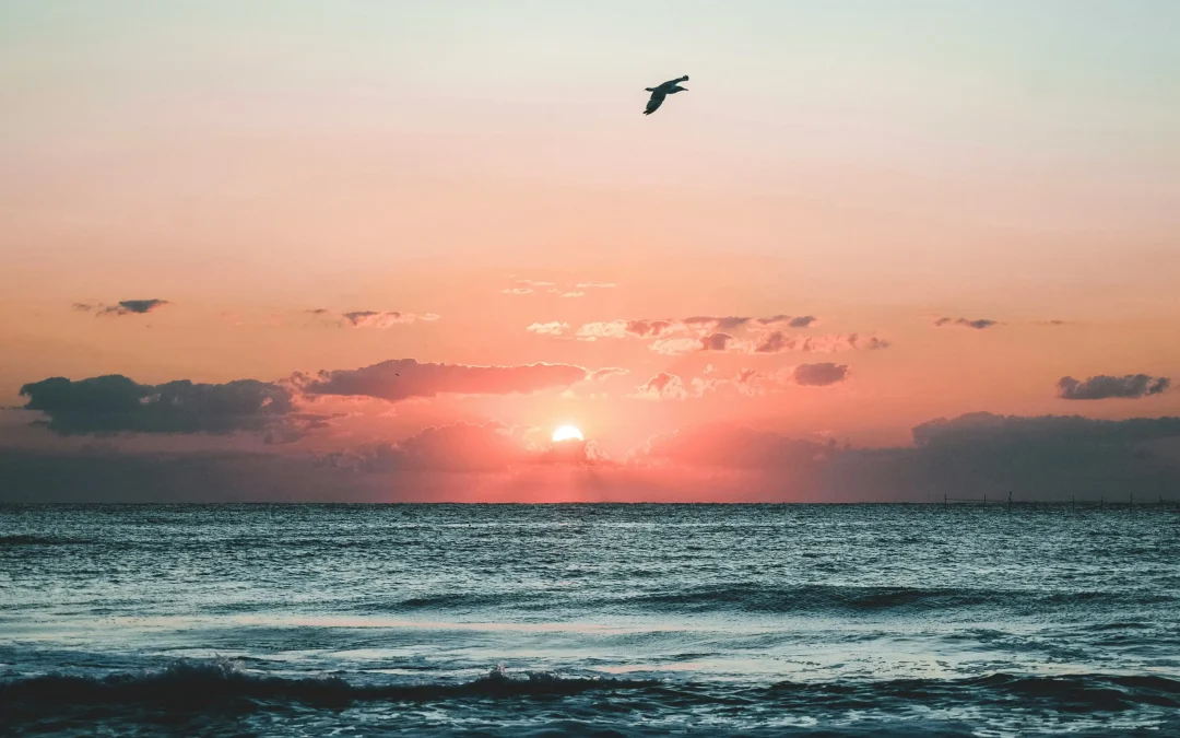 Feel It to Free It