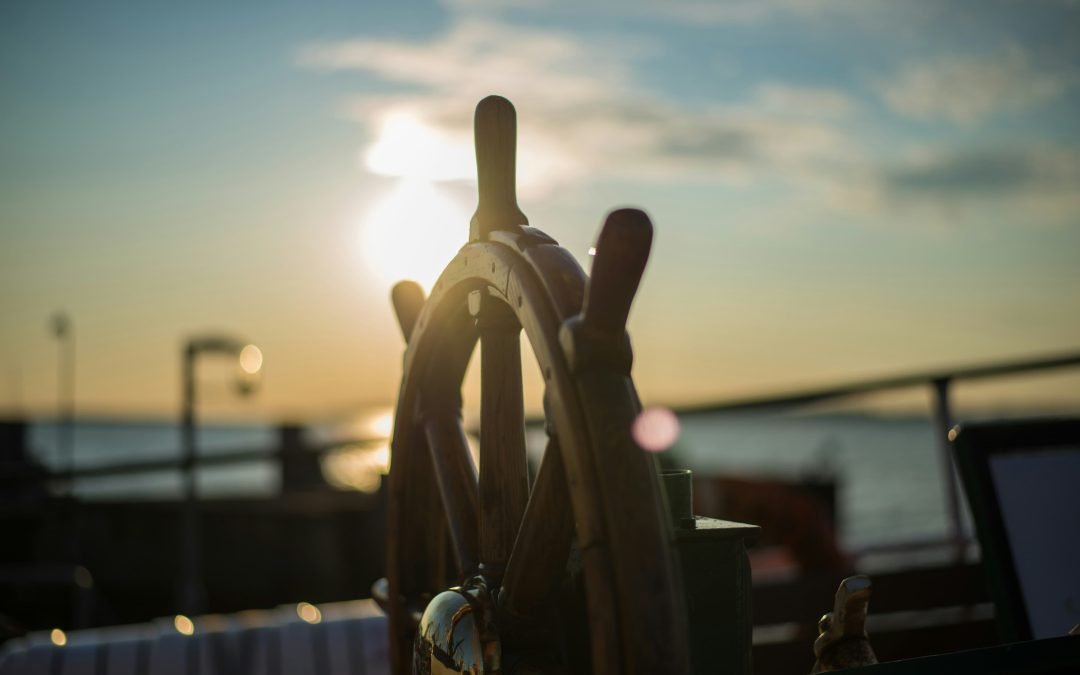 How to Navigate a Turbulent World