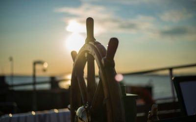 How to Navigate a Turbulent World