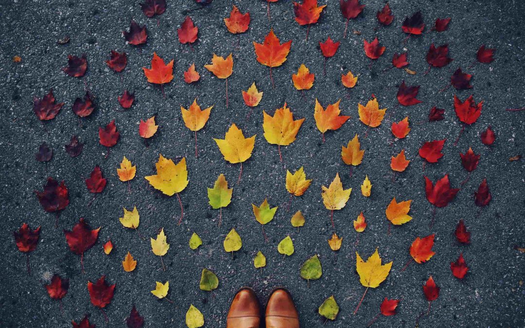 The Quiet Work of Transition