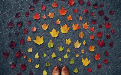 The Quiet Work of Transition